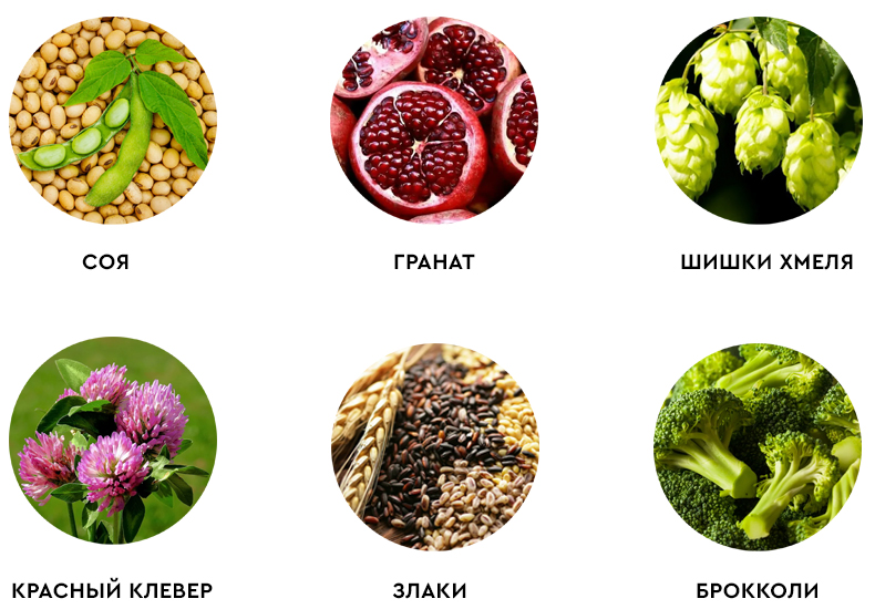 Продукты в которых содержатся фитоэстрогены Продукты в которых содержатся фитоэстрогены